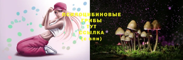 прущий лед Белоозёрский