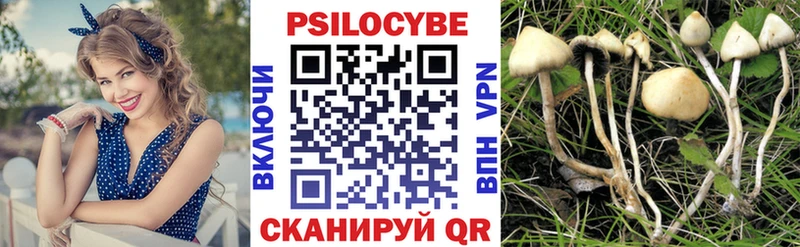 Галлюциногенные грибы MAGIC MUSHROOMS  Ельня 